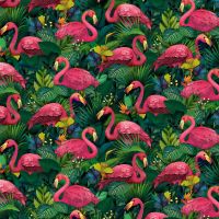 ttNATURE-CD4557 MULTI